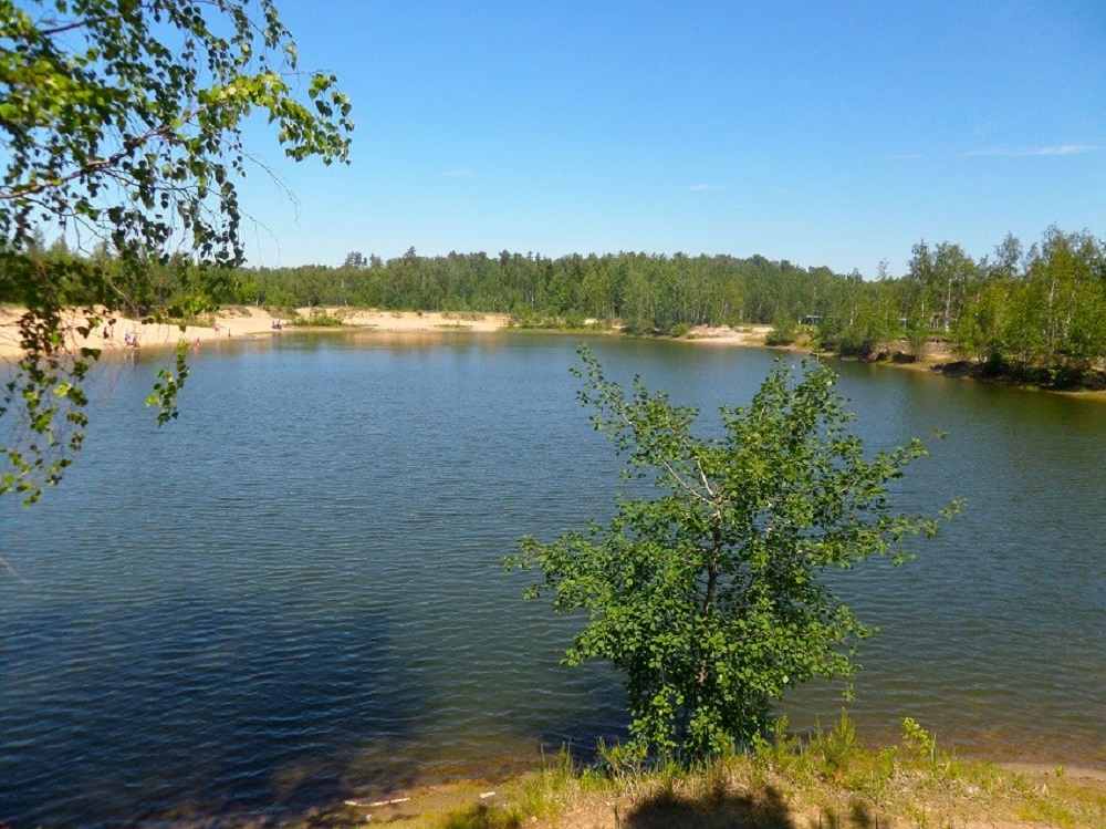 СНТ Калинка Электрогорск